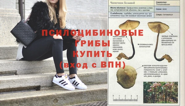 стаф Нягань