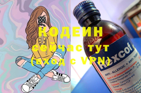 ПСИЛОЦИБИНОВЫЕ ГРИБЫ Няндома