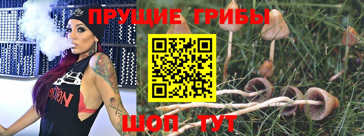 Псилоцибиновые грибы MAGIC MUSHROOMS  Вход с VPN  Черняховск  Галлюциногенные грибы прущие грибы 